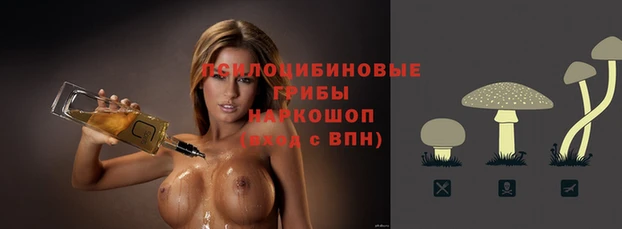 соль курить ск Алексеевка