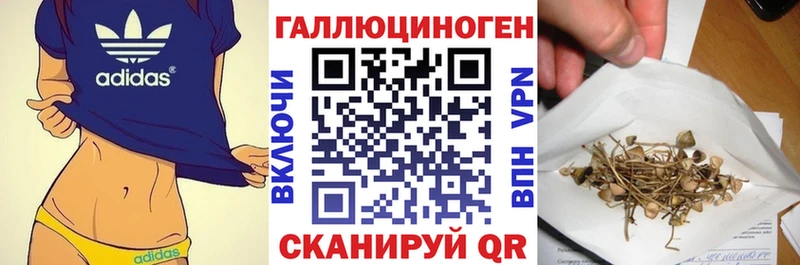 Псилоцибиновые грибы GOLDEN TEACHER  Купить  Горячий Ключ 